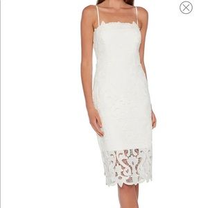 Bardot Lina lace sheath dress large